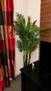 Mapungubwe Hotel - 8