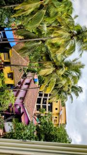 The Palm Retreat Luxe 1bhk Near Thivim Station - 5