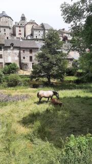 Maison de village Base-rando Margeride 16 à 18 personnes 1 Appart et 1 Duplex - 0