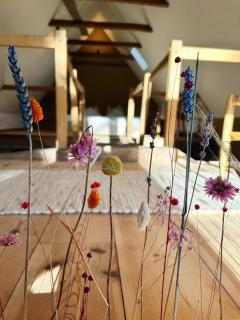 Wellness-Auszeit im Dümmer-Weserland in außergewöhnlichem Ferienhaus inklusive privates Saunahaus -  - 6
