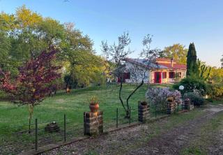 B&B Notti di stelle - 0