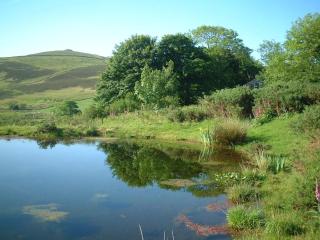 Mountain Cottage - Llanaelhaiarn - 8