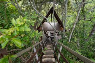 Yambaru Wild Treehouse Kidzy - 9