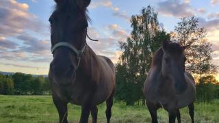 Dom w Gajówce u podnóża Gór Izerskich - 4