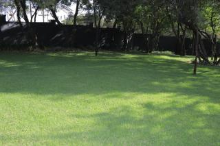 Number 12, Jadde apartments - 1
