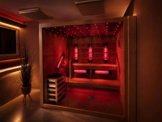 VIP Wellness apartma Immortality - 2