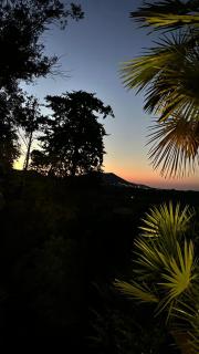 GreenVilla - 8