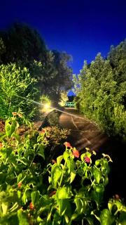 GreenVilla - 4