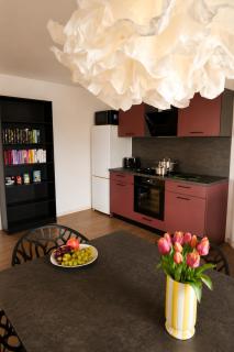 Komfort-Apartment - 93m2 - Zentral - Nähe Stadtpark - 6