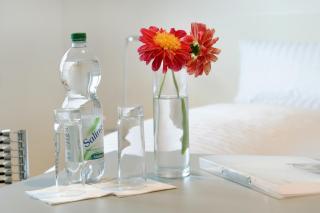 Bed & Breakfast Meerbusch - Meerbusch - 5