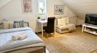 Domus Palatina FeWo & Business Apartments - 9