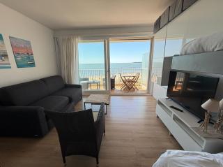 Le Baulnéaire, Vue Mer, Plage à Pied, Parking Privé - 7
