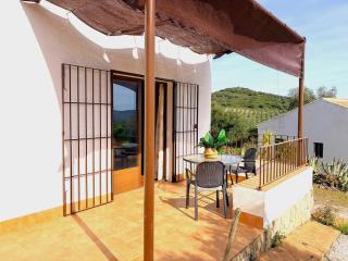 Evans Realty DE - Vivillo - Piscina & Padel - 1