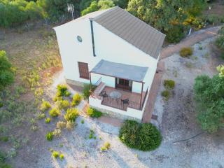 Evans Realty DF - Pernales - Piscina & Padel - 8