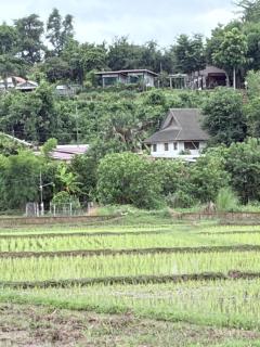นะลาวิว รีสอร์ท ปัว Nala View Resort Pua - 2