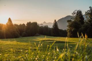 Edelsberghütte - Berghütte & Chalets - Anreise nur zu Fuß oder Shuttle - 8