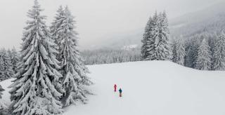 Edelsberghütte - Berghütte & Chalets - Anreise nur zu Fuß oder Shuttle - 4