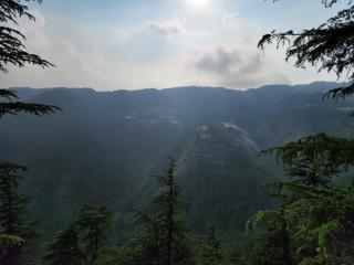 Deodarbliss-Kufri Hill view Retreat - 7