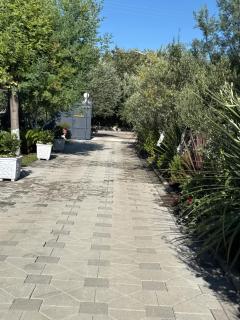 KuneVain Guest House - 7