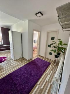 Apartament Uricani - 1