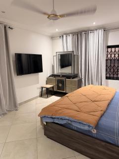 Luxury 4-Bedroom Home in Agbogba - 8
