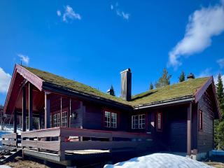 Mountain cabin with ski in-out Fageråsen Trysil - 4