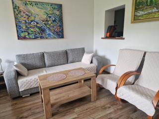 Zielona Przystań Apartament z widokiem na Pieniny - 1