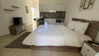 Cozy Pool-View Studio at Aqua Palms - 5