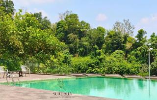 Lotus Lake Sanctuary- Netflix- Sunset-Pool- 1 parking - 1