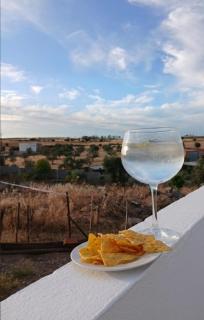 Casa da Oliveira - 9