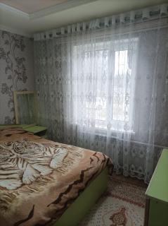 Comfortable and Cozy Apartment - 1
