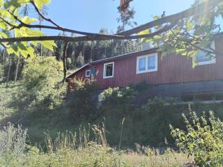 Waldhütte - 9