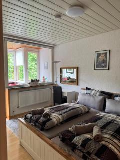 Gemütliche, ganze Wohnung in ruhiger, zentraler Lage - 9