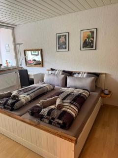 Gemütliche, ganze Wohnung in ruhiger, zentraler Lage - 0
