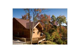 Free Train Tix + Modern-Rustic Cabin - 9