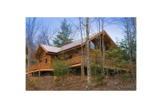Free Train Tix + Modern-Rustic Cabin - 0