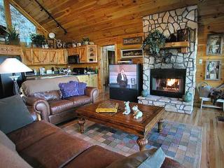 Free Biltmore Tix - Secluded Log Cabin - Nantahala Gorge - 0