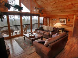 Free Biltmore Tix - Secluded Log Cabin - Nantahala Gorge - 7