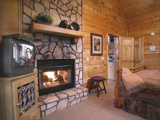Free Biltmore Tix - Secluded Log Cabin - Nantahala Gorge - 4