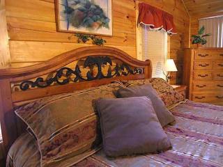 Free Biltmore Tix - Secluded Log Cabin - Nantahala Gorge - 5