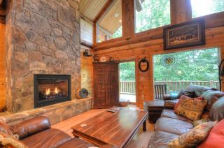 Free 4x4 Tours +Modern-Rustic, Luxury Cabin+ Adventures for Big Family - 3