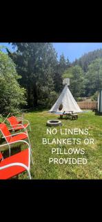 22ft authentic Tipi - 0
