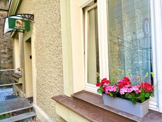 Oasis Valley Karlovy Vary Center - 1