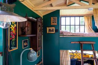 Strackxhoeve Tiny House 'Knalselder' - 4