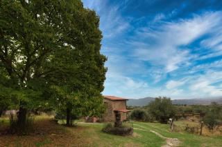 Agriturismo azienda agraria Ippogrifo - 5