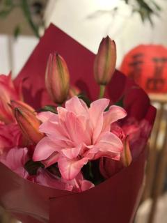 The Hutong Courtyard丨Authentic Beijing Hutong丨Walk to Forbidden & Square丨Free Wi-Fi丨Ticket Service Planning Support - Beijing - 2