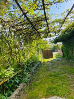 Gariks house - 6