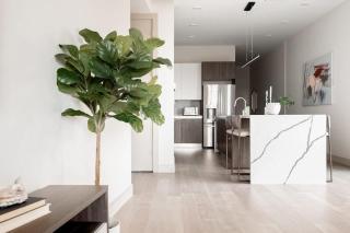 City Views! - Chic Jefferson Park Condo - Tesoro - Denver - 2