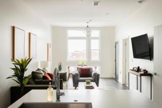 Modern Lifestyle - City View - Pet-Friendly - Zuni - 4