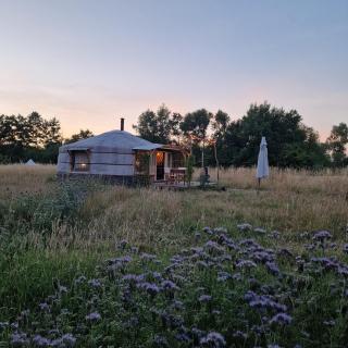 Strackxhoeve Yurt 'Haardpeer' - 0